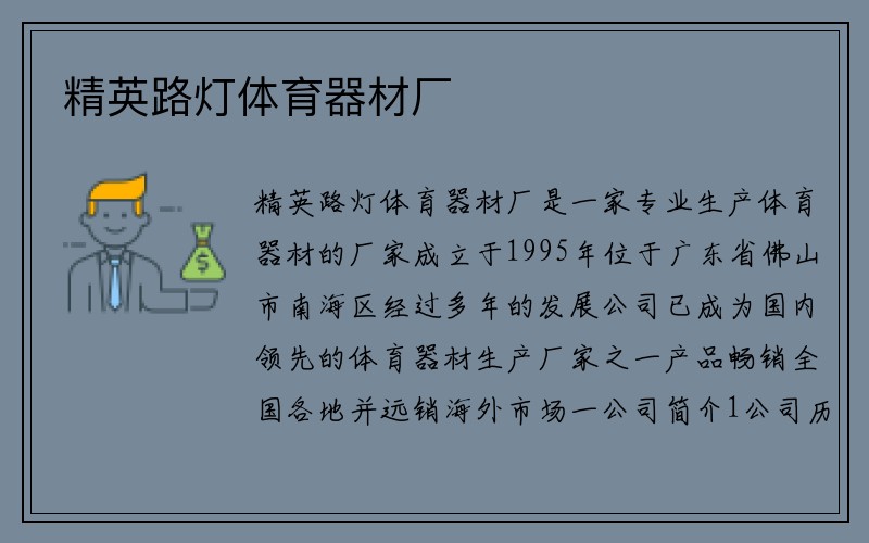 精英路灯体育器材厂