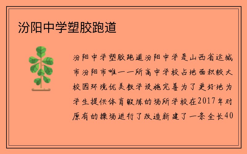 汾阳中学塑胶跑道