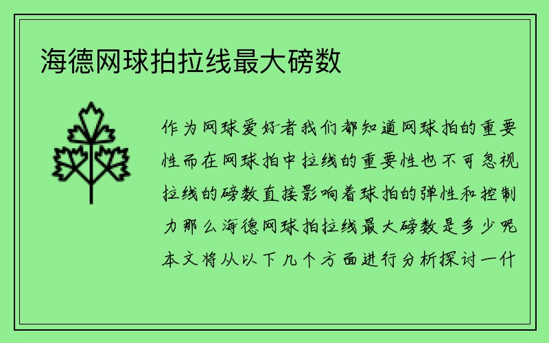 海德网球拍拉线最大磅数