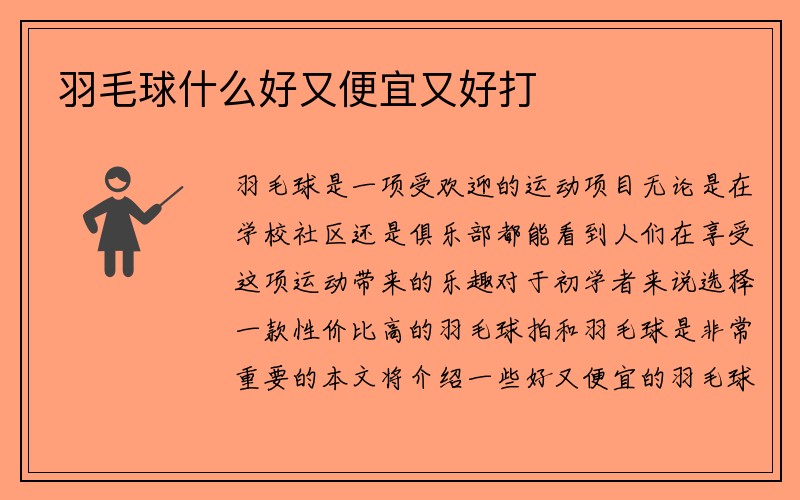 羽毛球什么好又便宜又好打