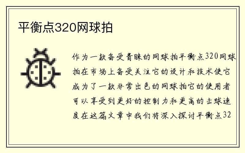 平衡点320网球拍